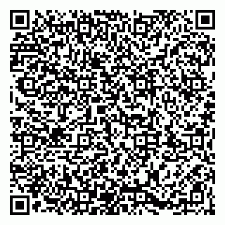vCard 79203747304