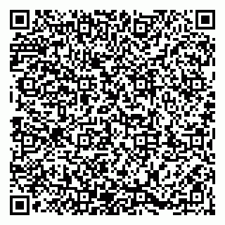vCard 79203747307