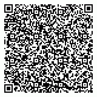 vCard 79203747308