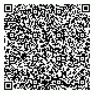 vCard 79203747314