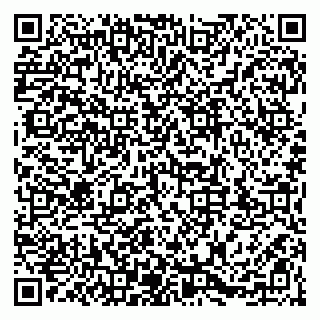 vCard 79203747353
