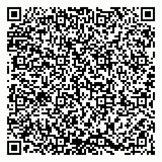 vCard 79203747529