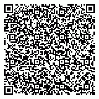 vCard 79203749895