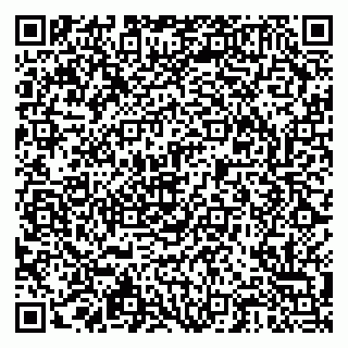 vCard 79203800004