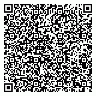 vCard 79203800017
