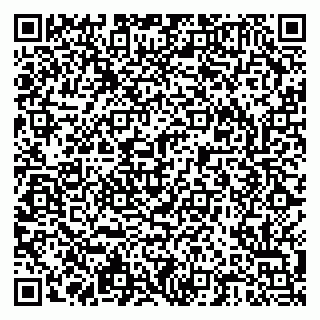 vCard 79203800029