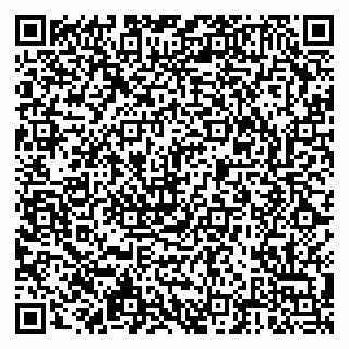 vCard 79203800037