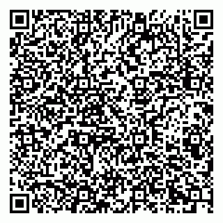 vCard 79203800039
