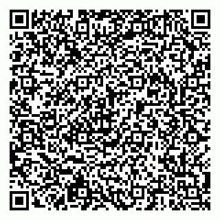 vCard 79203800111