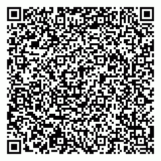 vCard 79203800219