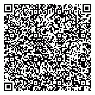 vCard 79203800310