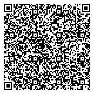 vCard 79203800311