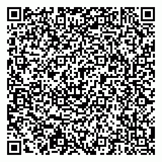vCard 79203800313