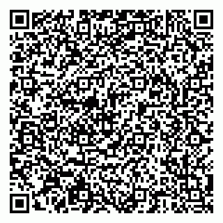 vCard 79203800321