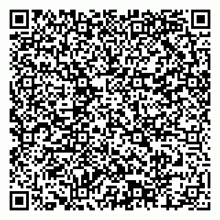 vCard 79204000003