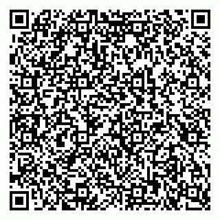 vCard 79204000013
