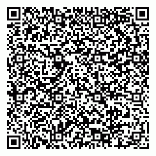 vCard 79204000029