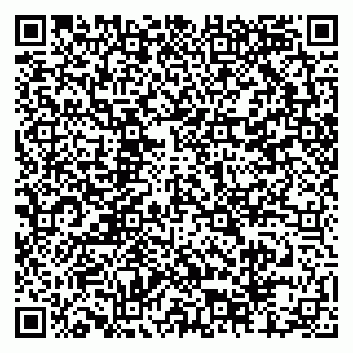 vCard 79204000033