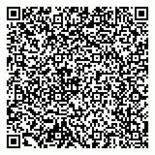 vCard 79204000300