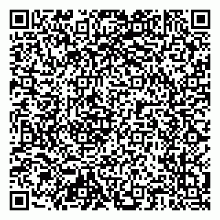 vCard 79204000301