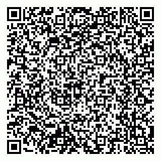 vCard 79204000313