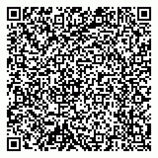 vCard 79204000335