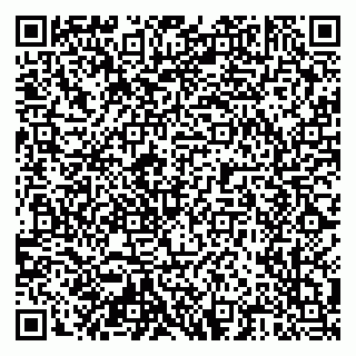 vCard 79204000370