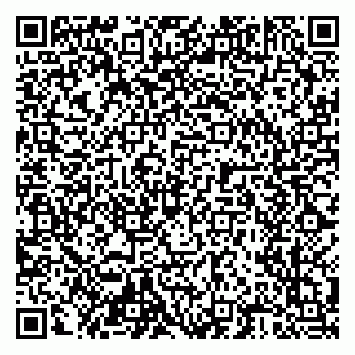 vCard 79204000379