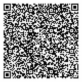 vCard 79204000380