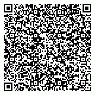 vCard 79204000381
