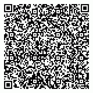 vCard 79204000383