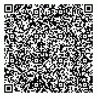 vCard 79204000403