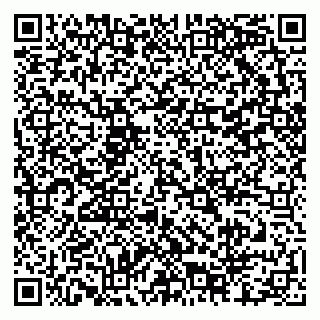 vCard 79204000410