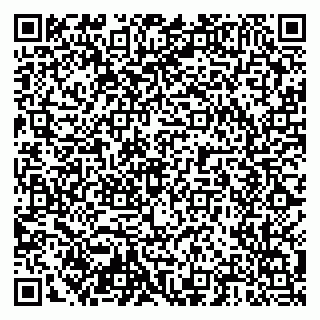 vCard 79204000411