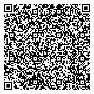 vCard 79204000413