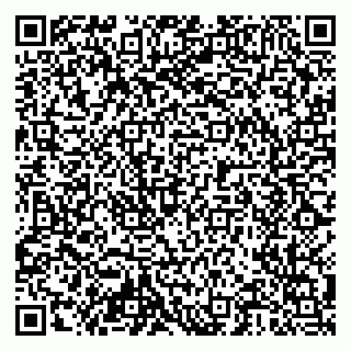 vCard 79204000499