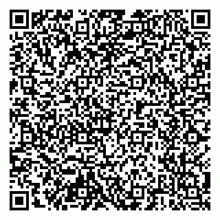 vCard 79204000533
