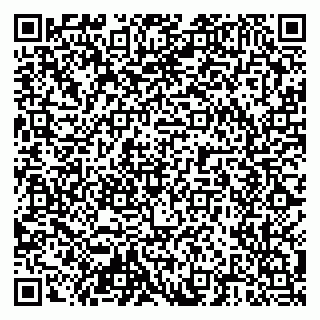 vCard 79204000539