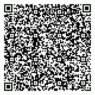 vCard 79204000739