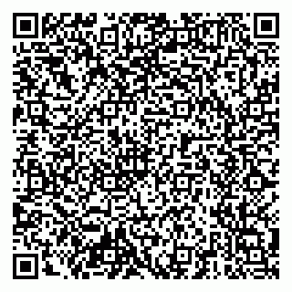 vCard 79204001033