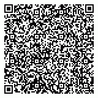 vCard 79204001733