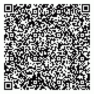vCard 79204002905
