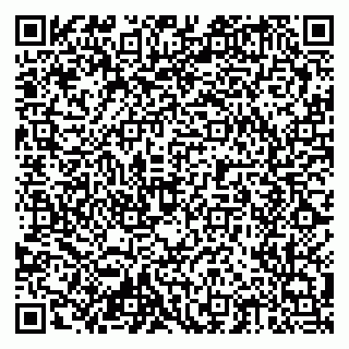 vCard 79204002941