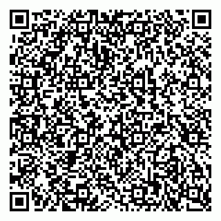 vCard 79204003313