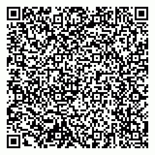 vCard 79204003336