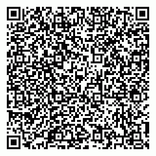 vCard 79206100029