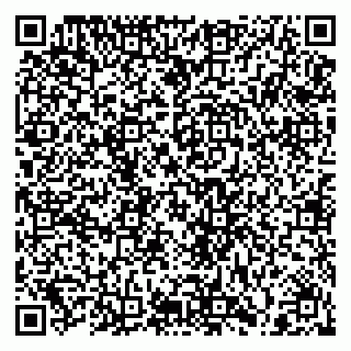 vCard 79206100093