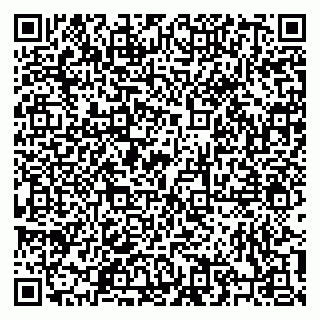 vCard 79206100153