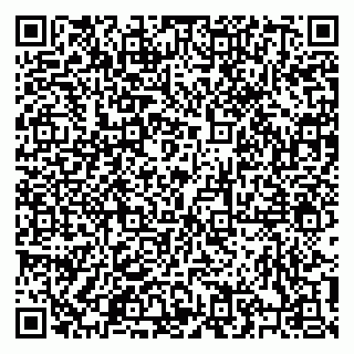 vCard 79206100173