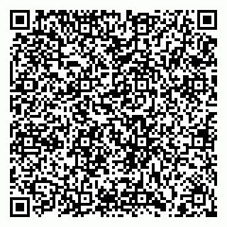 vCard 79206100273